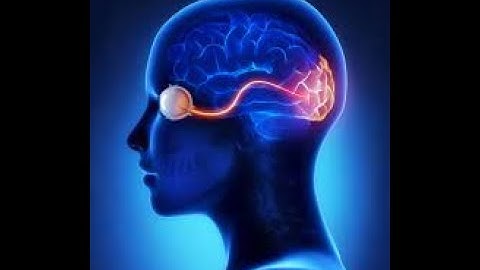 #eyes  - #visual  System fully explained - (#anatomy  and #Physiology) _ part 2