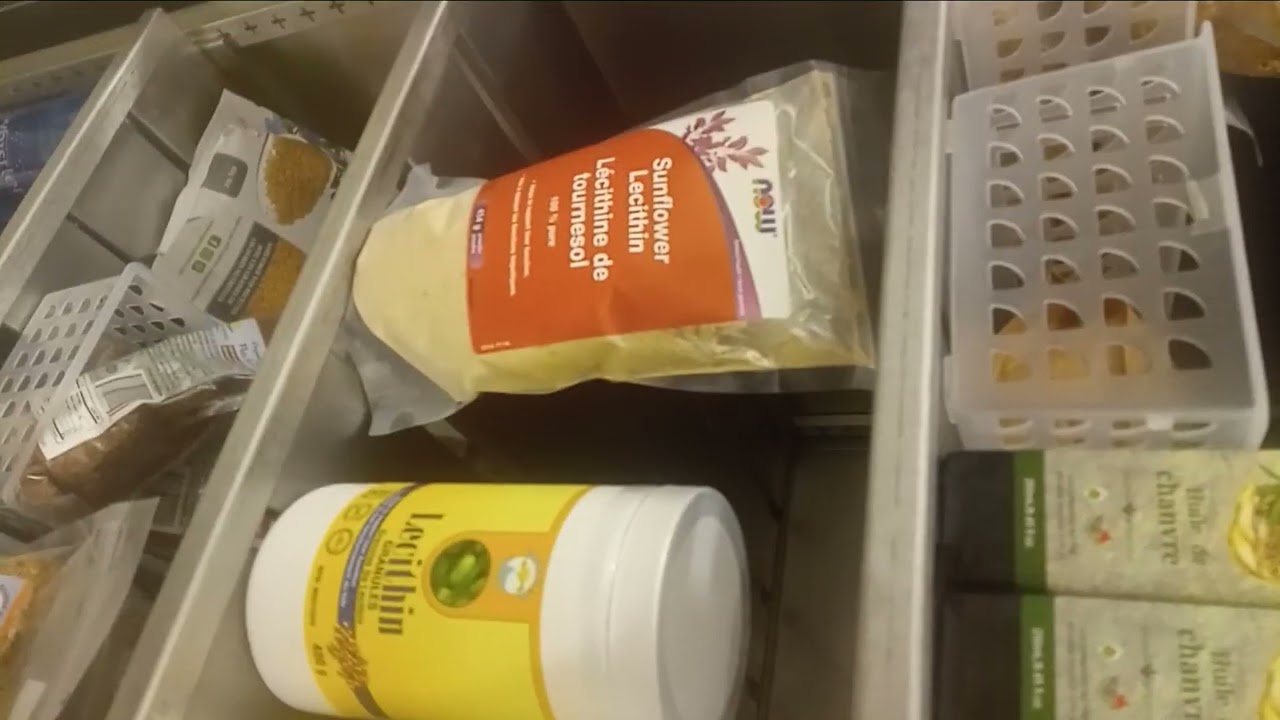 Our twin Labrador's of 11 years visit our favored Genesis Nutrition on Davie with Momma Kat