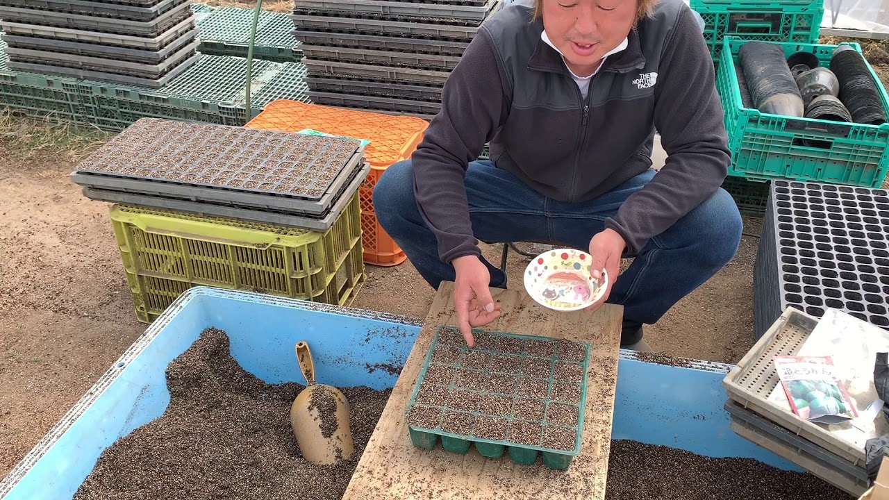 夏のスタミナ野菜の種まきのコツ 19 0325 Youtube