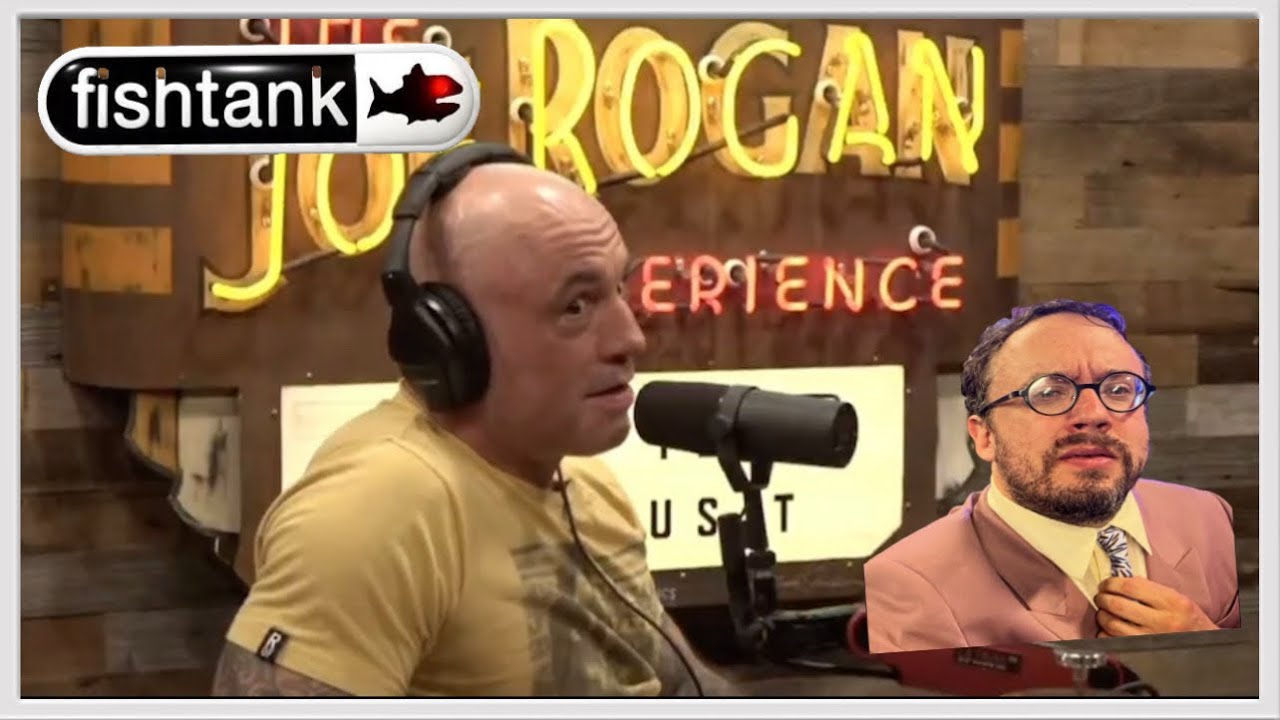 Joe Rogan talks about Fishtank and the Sam Hyde Show with Shane Gillis