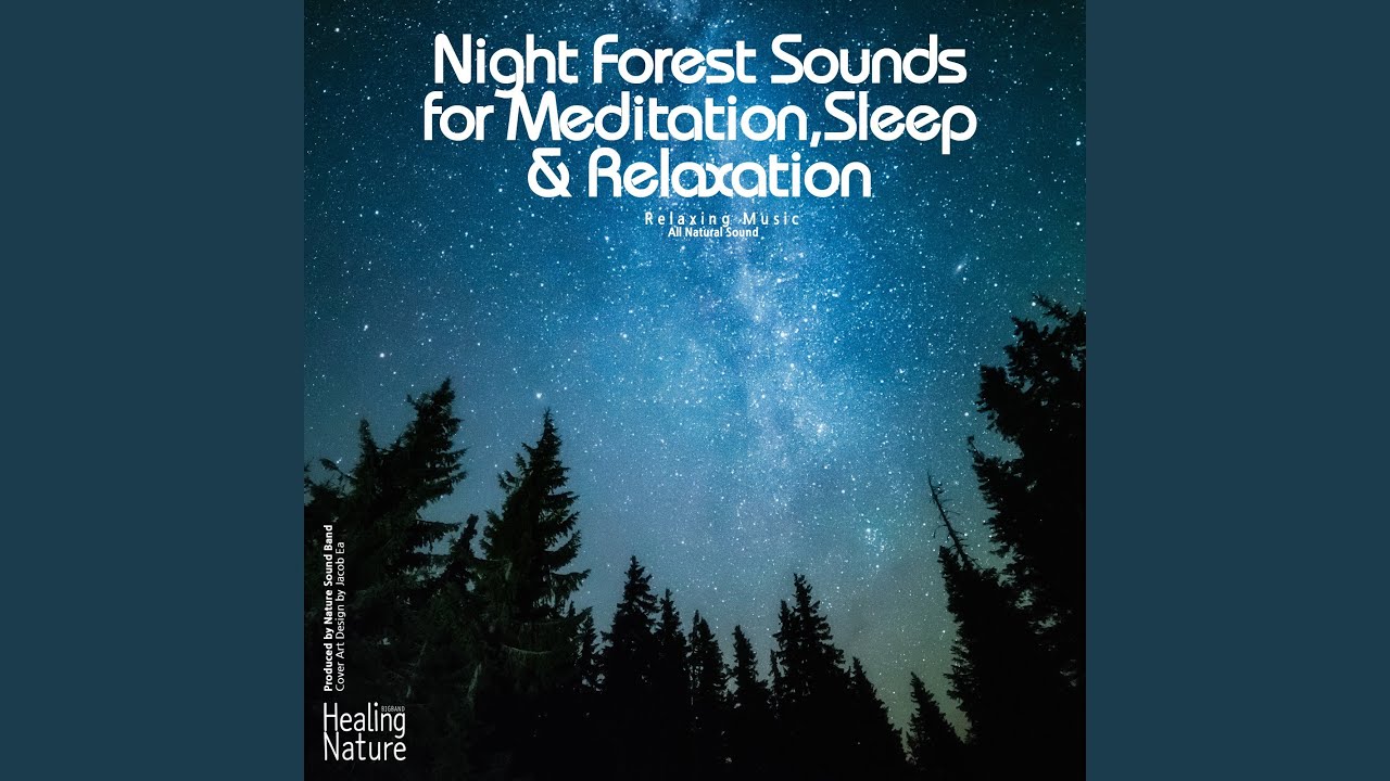 YouTube에서 집중력이 필요할 때 듣는 화이트 노이즈 보기