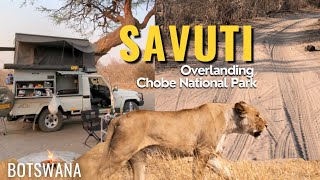 BOTSWANA 🇧🇼 Abenteuer Savuti | Chobe National Park im Okavango Delta | Marshroad Overlanding Safari