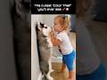 He really tried to explain himself 😂🖍️ #shorts #baby #puppy #viral