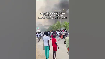 الافارقة يحاولون استعمار الجزائر 