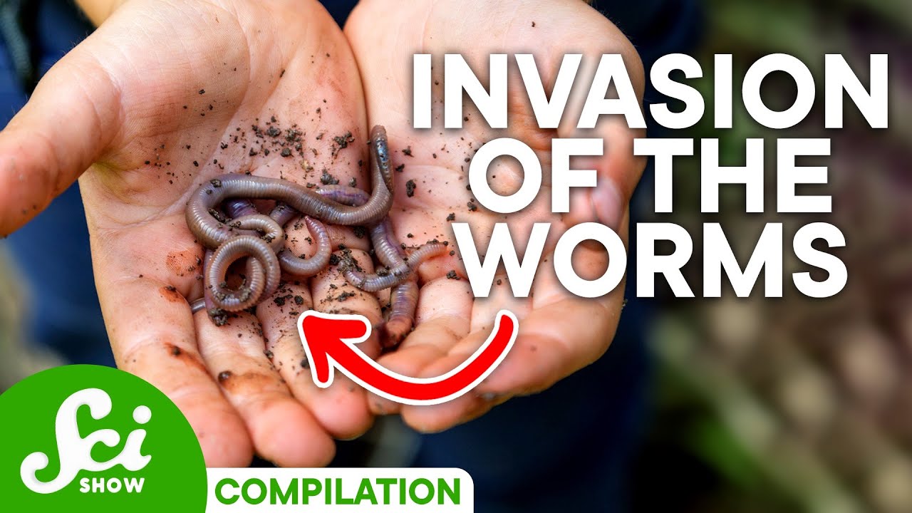 When Organisms Invade | Compilation