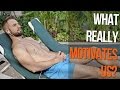 What Really Motivates Us? | Different Ways of Seeing the World | Book Of The Week #2