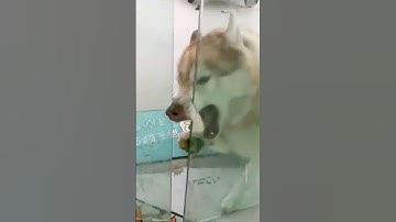 Funny Fails 😂😂😂 #shorts #funny #fails #viralvideo