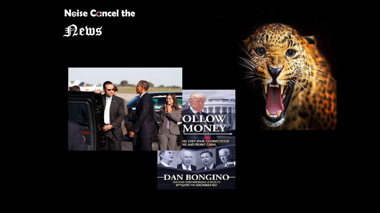 ⁣"Follow the Money" by #Bongino book review (and newsletter signup info!)