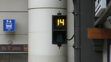Aldridge Pedestrian Signal with Timer