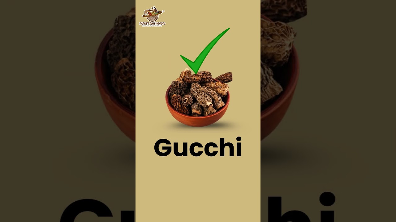 Not Gucci, it’s Gucchi! 🍄💎 | The Rare Himalayan Morel Mushroom 