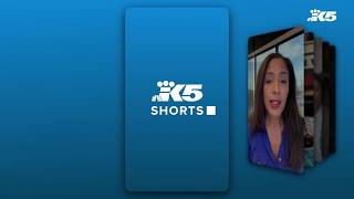 KING 5 Shorts