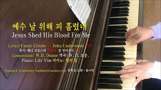 Jesus shed His blood for me 예수 날 위해 피 흘렸네 (한국 새 찬송가 #144 예수 나를 위하여) English & Korean subtitles 영한자막