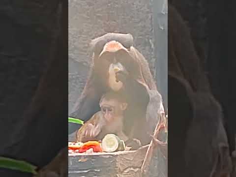 amazing # caring baby