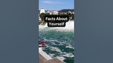 Your vibe attracts your tribe...@officialfactszz  #shorts #shortsyoutube #factshorts