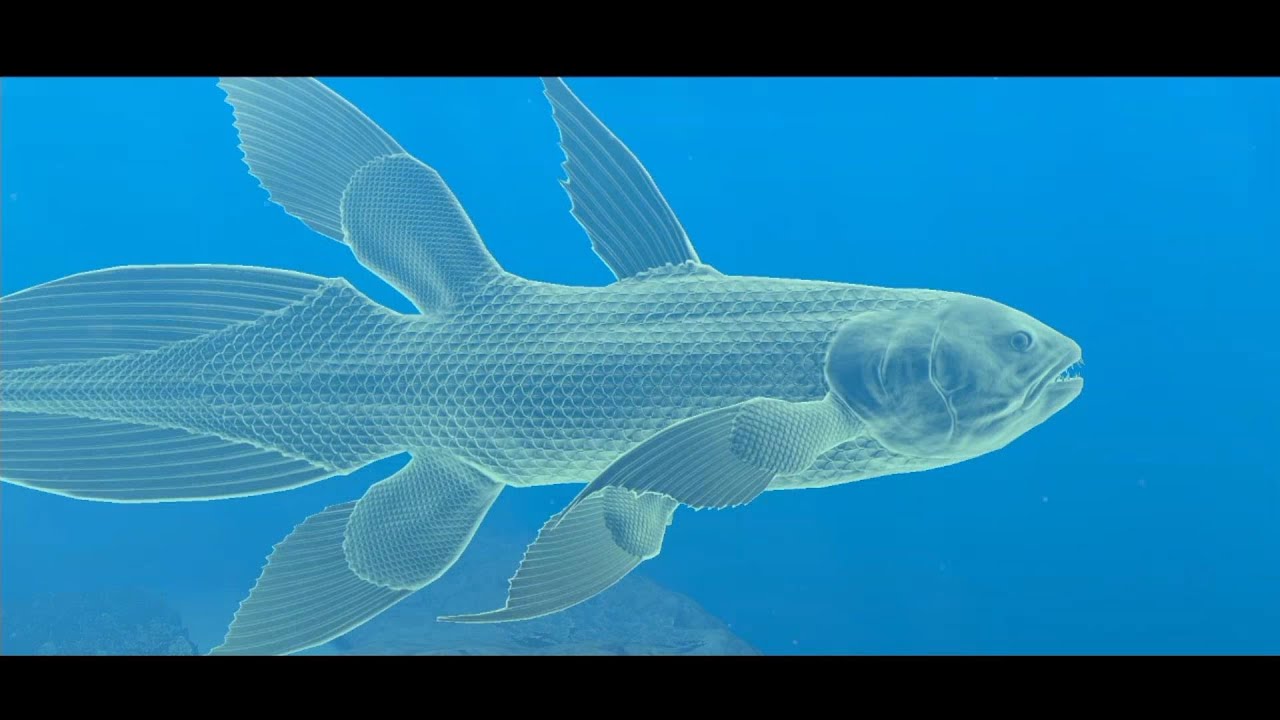 フォーエバーブルー ルミナス 謎の巨大魚の撮影ミッション part 1-2