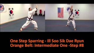 Orange Belt Intermediate One Step #8-One Step Sparring Ill Soo Sik Dae Ryun