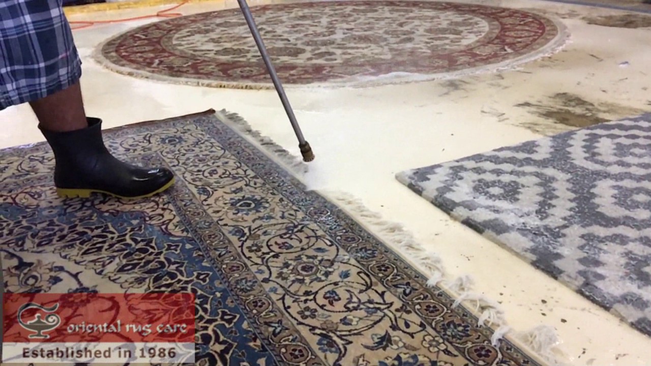 Professional Area Rug Cleaning Tips Naples YouTube