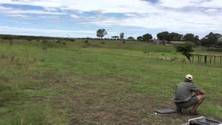 Cheetah hunting training screenshot 3