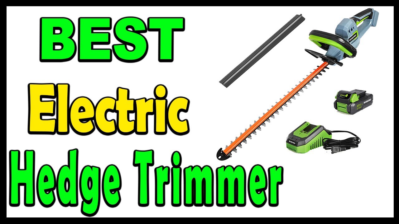 Top 5 Best Electric Hedge Trimmer Review 2025 - YouTube