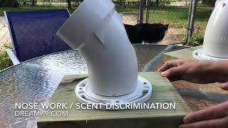 How to make scent pipe for nose work/scent discrimination