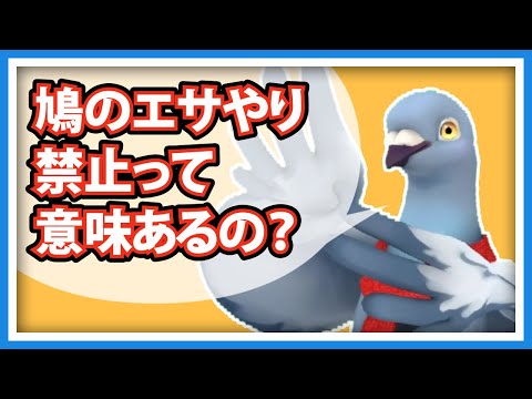 【羽鳥ぽぽぽ】野生鳩のエサやり禁止の効果ってある？【第299羽】