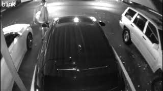 Car Prowling 1