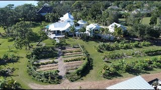 Creating The Farm of Their Dreams! 5-Acre Food Forest & Restoration Project