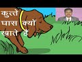 डॉग Dog में उल्टी vomiting कैसे रोकें!