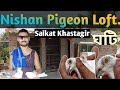 Old antique collection madrasi pigeon  nishan pigeon loft saikat khastagirkabootar pigeon