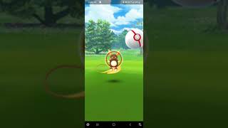 First Alolan Raichu Caught And that too Shiny😱😱