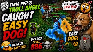 Tibia War 😂 Level 886 Bzkaos Got Caught! EASY DOG!