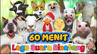 Download lagu Lagu Lucu 60 MENIT Lagu SUARA BINATANG