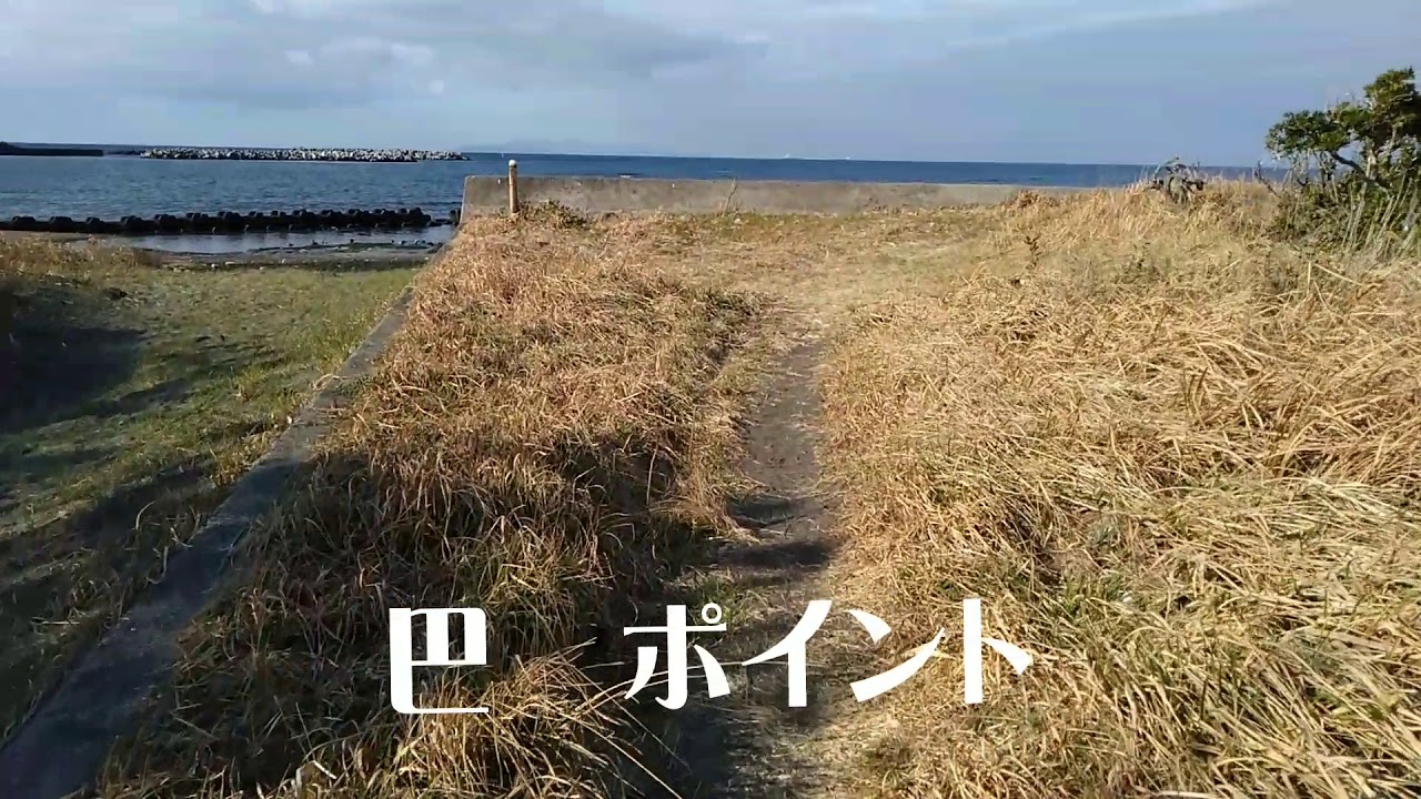 波情報 21年2月14日 日 千葉南館山平砂浦海岸 開運波乗り店舗 白浜観光案内所 Youtube