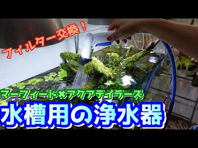 Aquarium] Let's change the filter in the water purifier for the