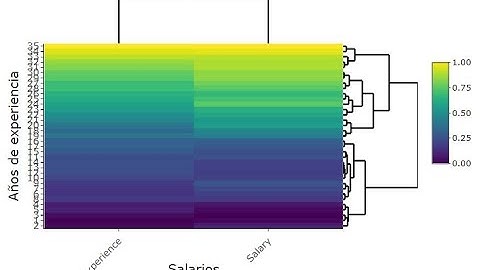 Normalizacion de datos con RStudio