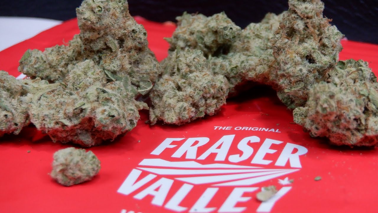 Strain Review MAC-1 By Fraser Valley Weed Co