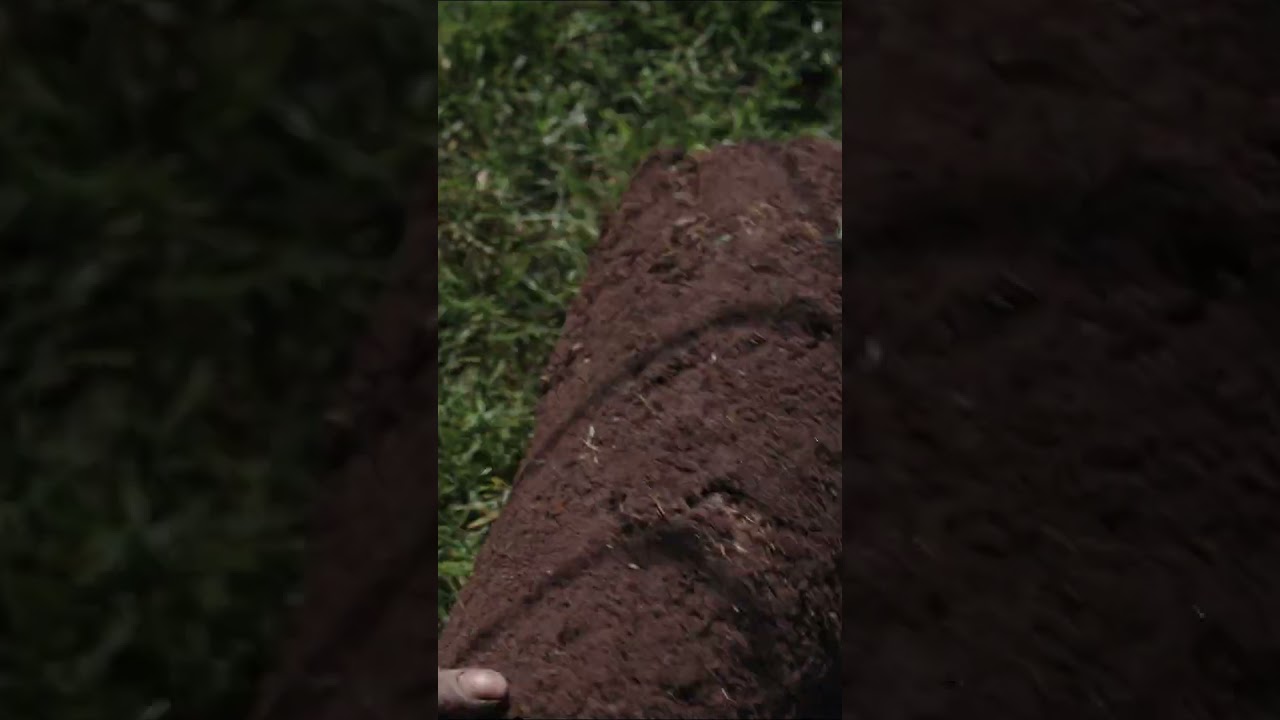 An Artisan Hedgehog House Made of Stone? Yes. 🦔 