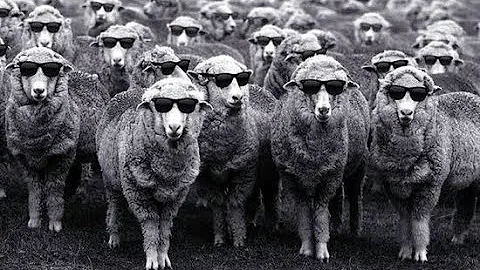 People Pleasing : Quiz