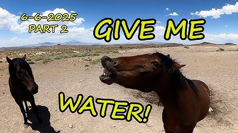 Trying To Fix a Stubborn Spring To Water The Wild Horses, Donkeys, Antelope,  Do good Feel Good.