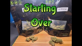 Week 16 Staggered Grow (Update/Starting Over)