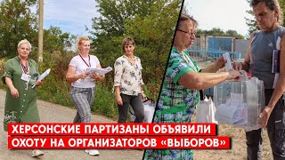 Россия проводит досрочные “выборы”: оккупированные части Херсонской, Запорожской области, Мариуполь