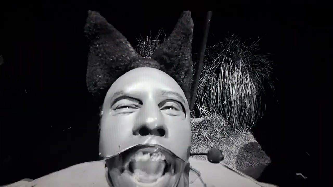 Tyler the creator Grammys 2026 performance