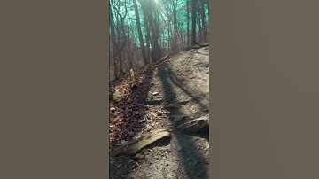 اسمع وارتق للسماء 💚💚💚 ما تيسر من سورة المائدة للقارئ اسلام صبحي @islam_sobhi #nature #اكسبلور