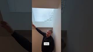 The Skylight Hack That Solves the Angular Plane Headroom Problem #TorontoRealEstate