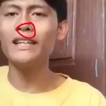 Lalat Tailaso