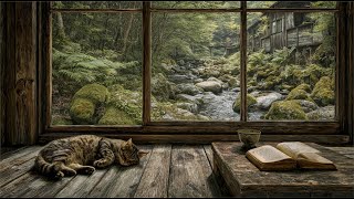 Yokko's Lofi Room – Rainy Oirase Stream ☔ Japanese Lofi for Study & Sleep