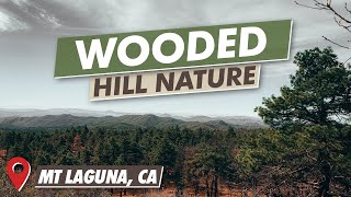 Wooded Hill Nature Trail | Trail Recap | Mt Laguna, CA | 1080P
