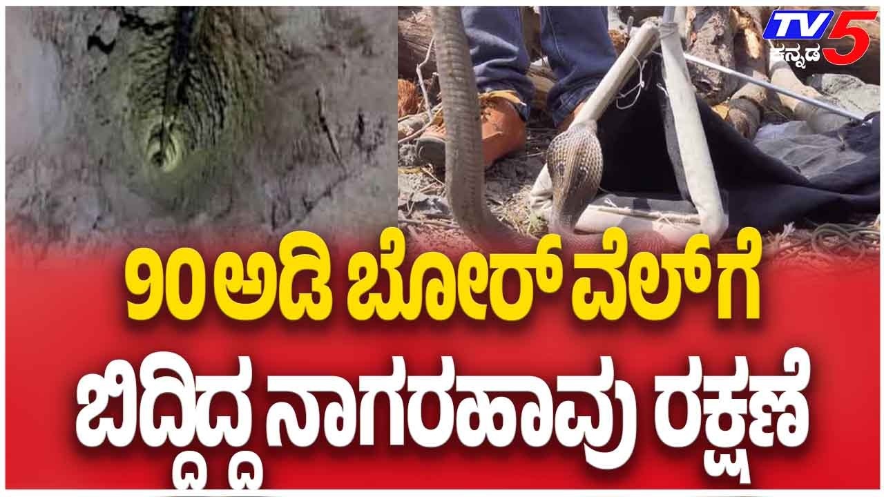 Cobra Rescued From Borewell In Mysuru 90 ಅಡಿ ಬೋರ್ ವೆಲ್ ಗೆ ಬಿದ್ದಿದ್ದ ನಾಗರಹಾವು ರಕ್ಷಣೆ