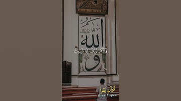 ولا تقولن لشيء إني فاعل ذلك غدا #سورة_الكهف #القرآن_الكريم #فارس_عباد #راحة_نفسية #اكسبلور #لايك