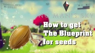 How to get the blueprints for seeds - No Mans Sky